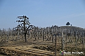 VBS_1159 - Santo Stefano Roero